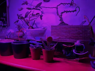 Fotografía 17 del espacio de trabajo y proyectos de Raúl Caro Pastorino