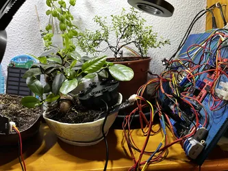 Fotografía 32 del espacio de trabajo y proyectos de Raúl Caro Pastorino